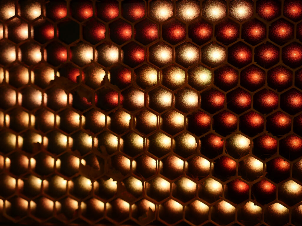 p1500520 (1)